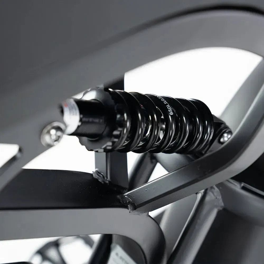 qm wheels v20 pro fatbike met achterzitje 250w legaal