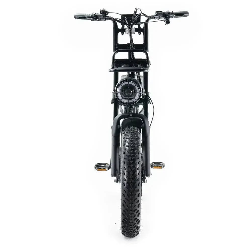 qm wheels v20 pro fatbike met achterzitje 250w legaal