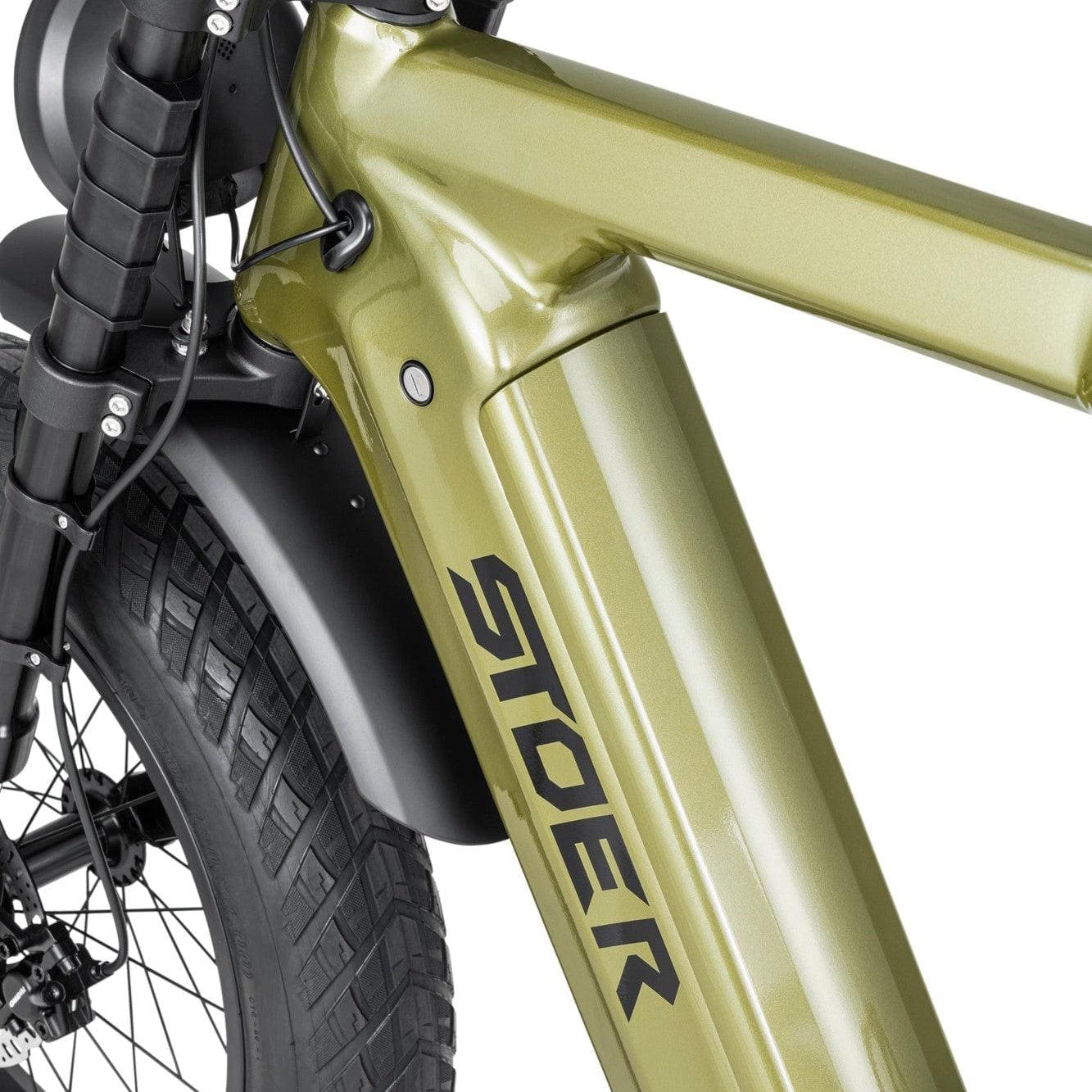 groene Stoer Urban X elektrische fatbike voor 2 personen en 250W Bafang motor