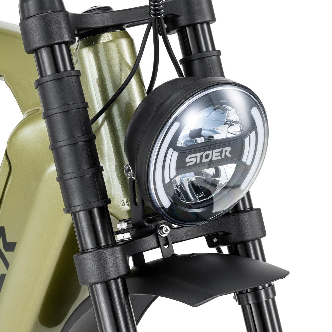 groene Stoer Urban X elektrische fatbike voor 2 personen en 250W Bafang motor