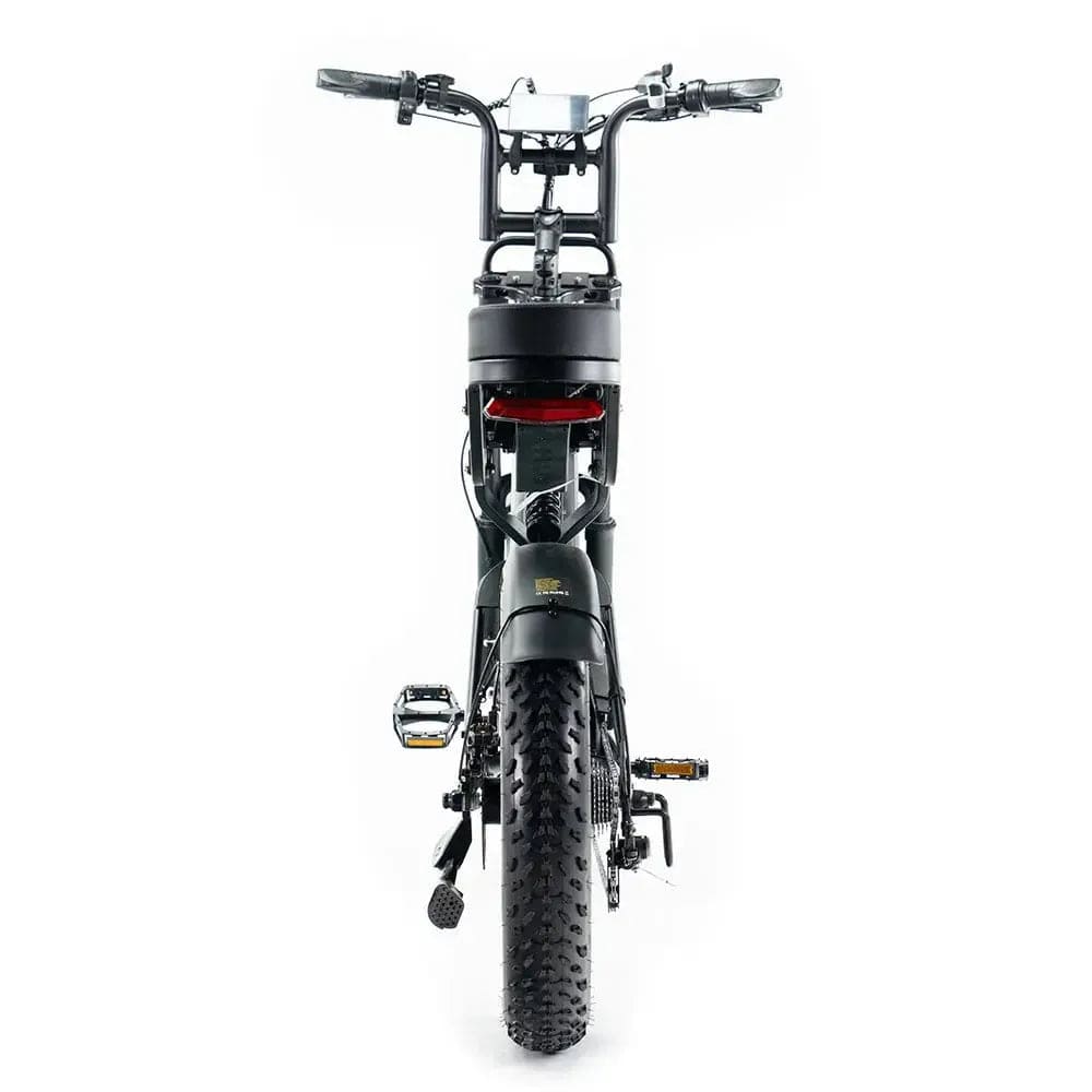 qm wheels v20 pro fatbike met achterzitje 250w legaal