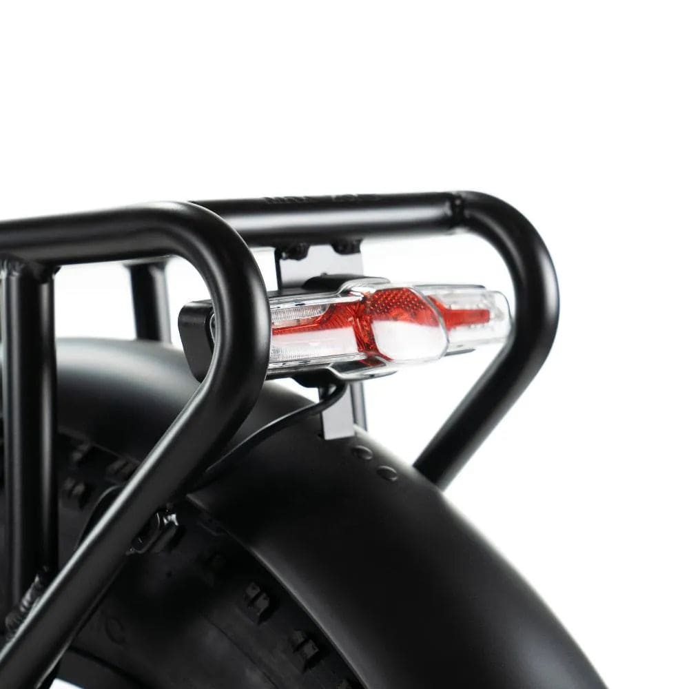 bagagedrager en achterlicht ENGWE Engine X 250W Vouwfiets opvouwbare Elektrische Fatbike kleur Zwart
