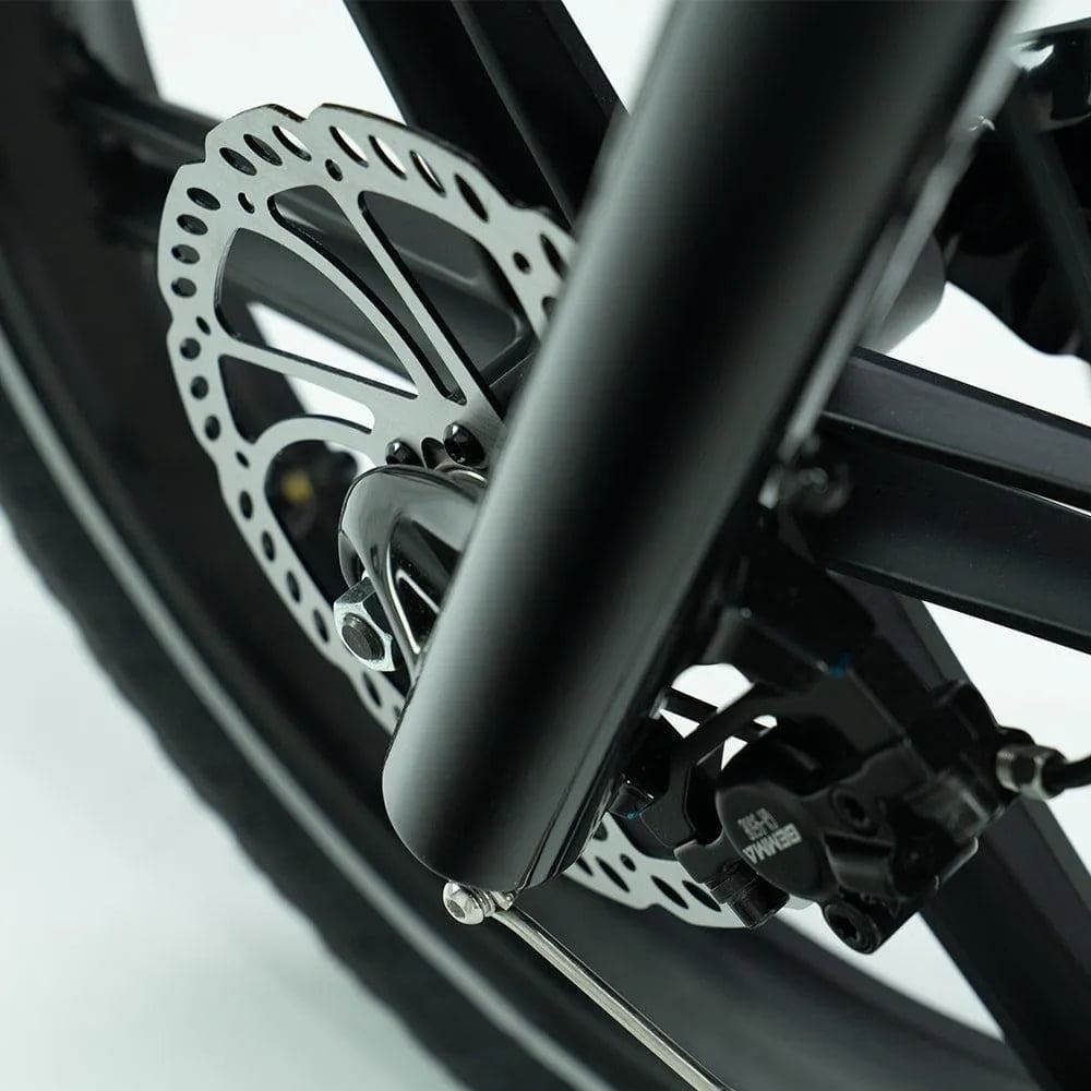 mechanische schijfremmen jobobike transer longtail fatbike e-bike zilver grijs