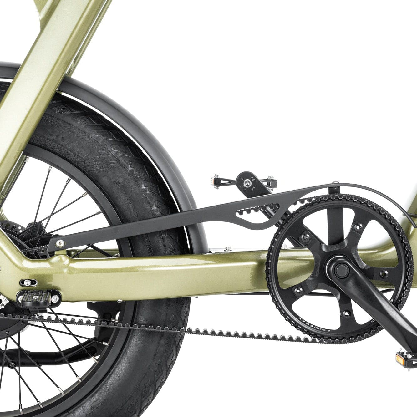 groene Stoer Urban X elektrische fatbike voor 2 personen en 250W Bafang motor