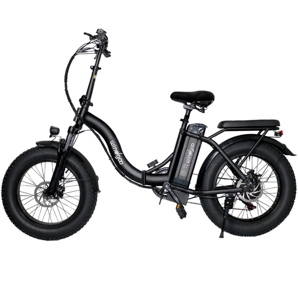 Windgoo E20 - Fatbike Vouwfiets - Zwart - 20 inch - 250W