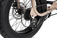 RC_LilBuddy_fano_grey-10