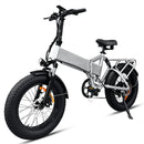 EB3 Elektrische Fatbike Vouwfiets Zilver 250watt