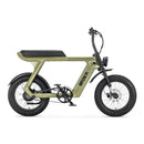 groene Stoer Urban X elektrische fatbike voor 2 personen en 250W Bafang motor