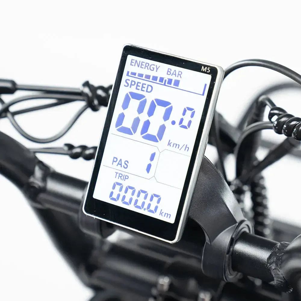 OUXI H9 - Zwart - Fatbike - Zwart - 250W - Gratis Voorrekje + Voetsteuntjes - Dubbele Vering