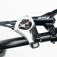 OUXI H9 - Zwart - Fatbike - Zwart - 250W - Gratis Voorrekje + Voetsteuntjes - Dubbele Vering