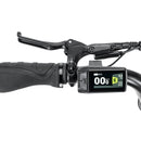 groene Stoer Urban X elektrische fatbike voor 2 personen en 250W Bafang motor