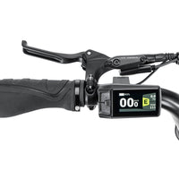 groene Stoer Urban X elektrische fatbike voor 2 personen en 250W Bafang motor