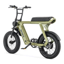 groene Stoer Urban X elektrische fatbike voor 2 personen en 250W Bafang motor