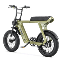 groene Stoer Urban X elektrische fatbike voor 2 personen en 250W Bafang motor