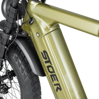groene Stoer Urban X elektrische fatbike voor 2 personen en 250W Bafang motor