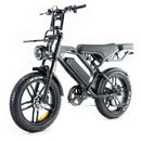qm wheels v20 pro fatbike met achterzitje 250w legaal