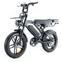 qm wheels v20 pro fatbike met achterzitje 250w legaal