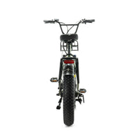 ENGWE L20 - Groen - Fatbike - Lage instap - Voorrekje - 250W