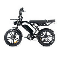 qm wheels v20 pro fatbike met achterzitje 250w legaal