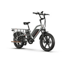 jobobike transer longtail fatbike e-bike zilver grijs met dubbele accu